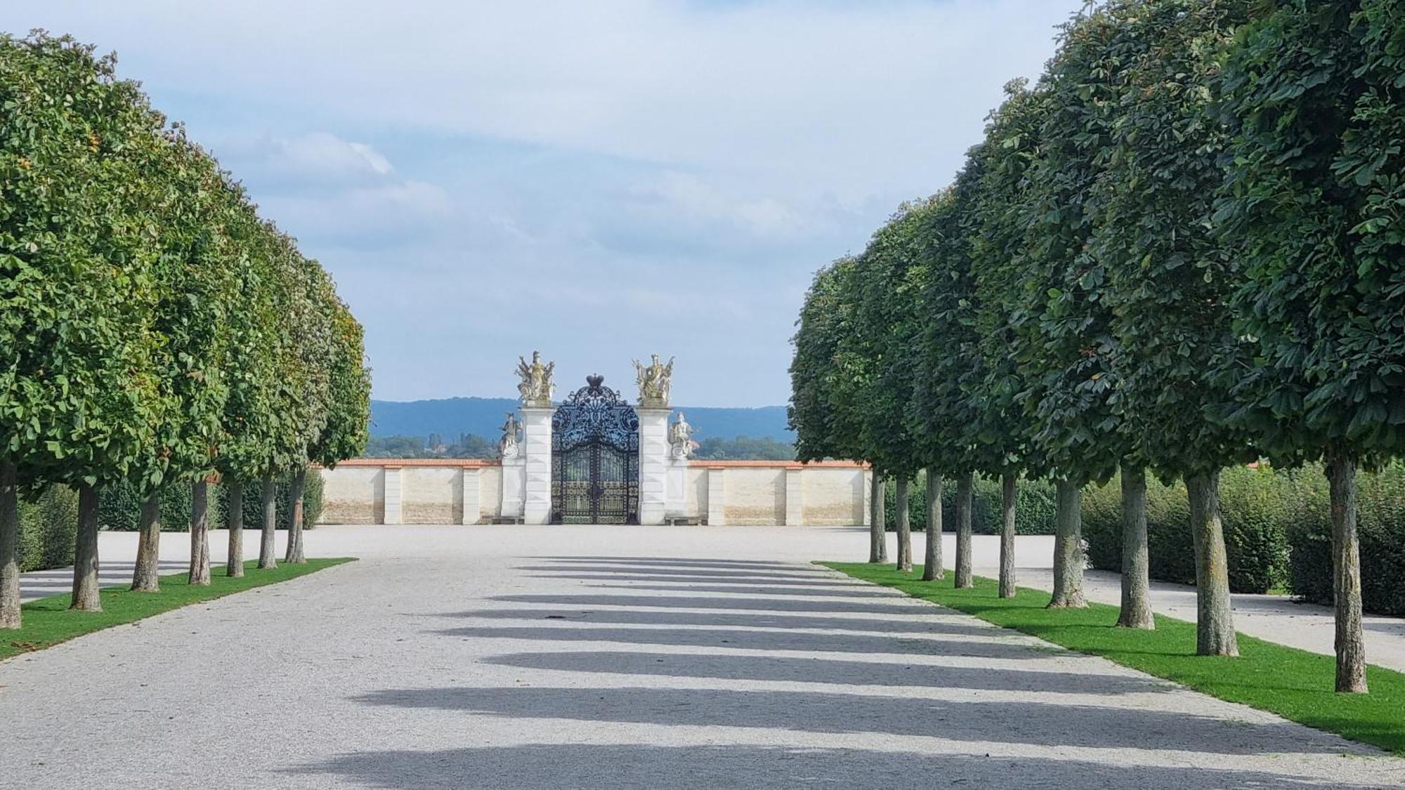 Birkenhof Gols - B & B - Wohlfuehl Hotel Mit Wochenend-Restaurant Екстериор снимка