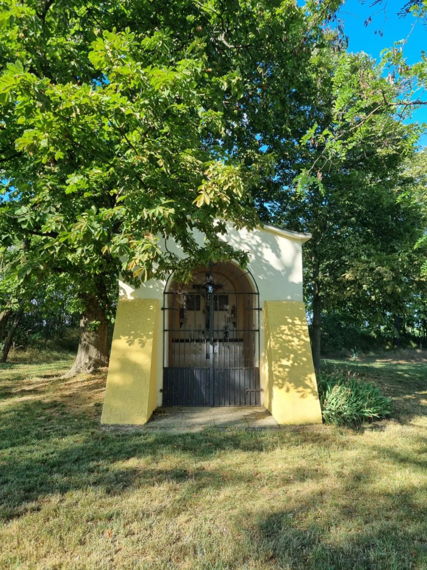 Birkenhof Gols - B & B - Wohlfuehl Hotel Mit Wochenend-Restaurant Екстериор снимка