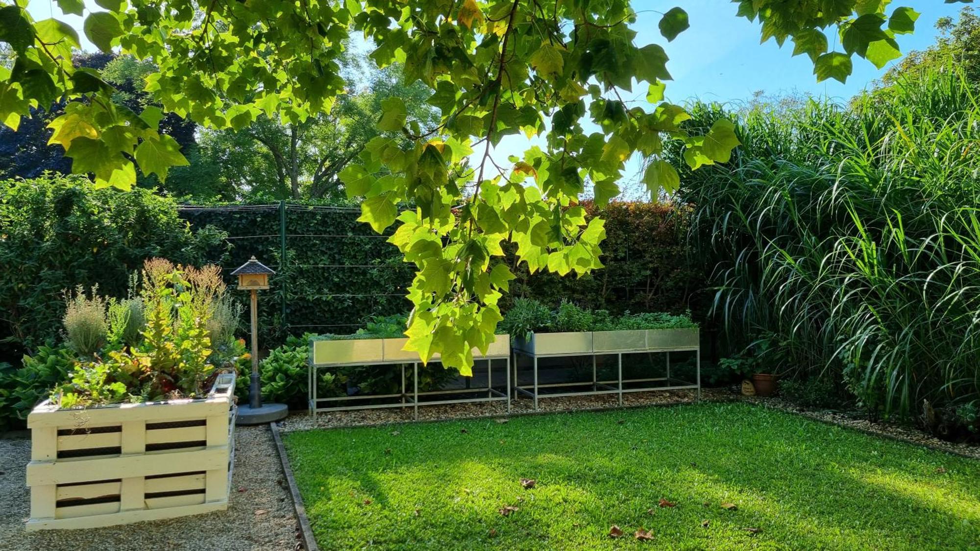 Birkenhof Gols - B & B - Wohlfuehl Hotel Mit Wochenend-Restaurant Екстериор снимка